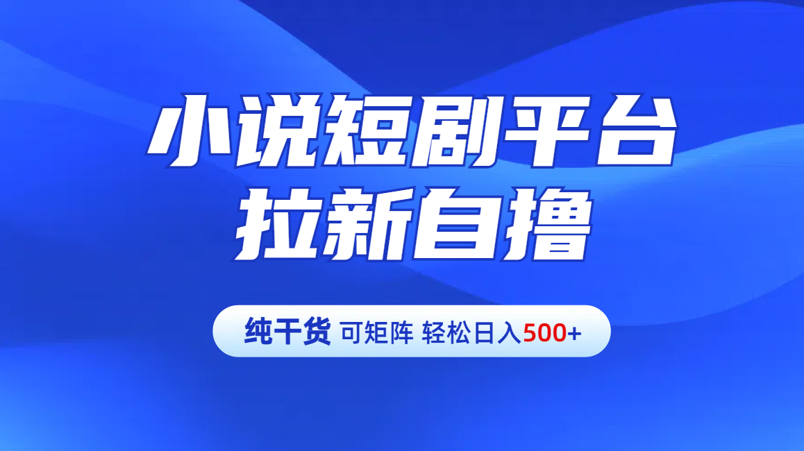 【纯干货】小说短剧平台拉新自撸玩法详解-单人轻松日入500+-伊恩资源网