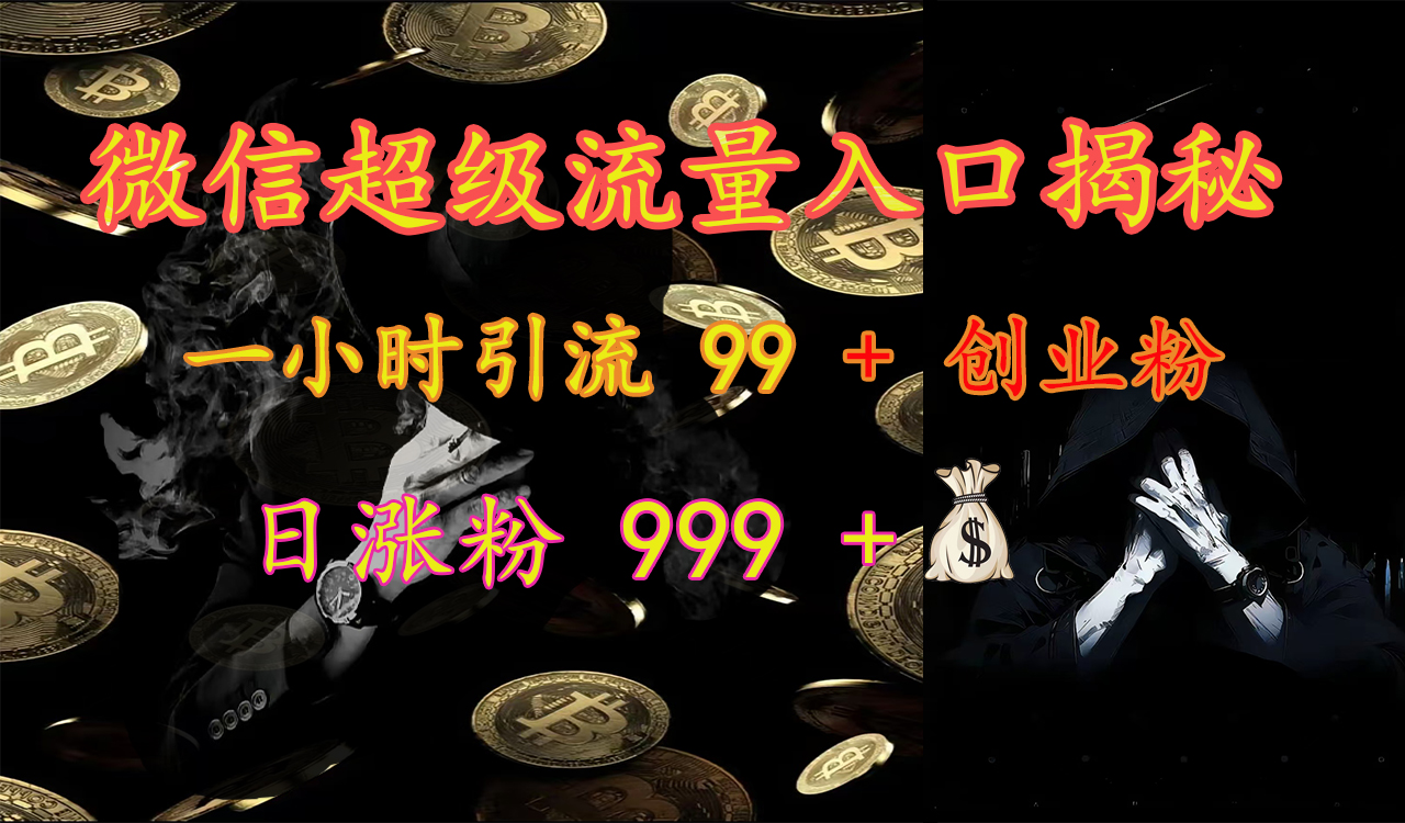 微信超级流量入口揭秘：一小时引流 99 + 创业粉，日涨粉 999 +【揭秘】-伊恩资源网