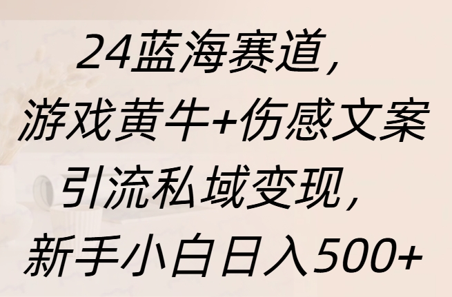 24蓝海赛道，游戏黄牛+伤感文案引流私域变现，新手日入500+-伊恩资源网