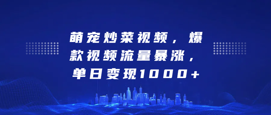 萌宠炒菜视频，爆款视频流量暴涨，单日变现1000+-伊恩资源网