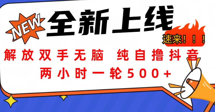 解放双手无脑 纯自撸抖音 两小时一轮500+-伊恩资源网