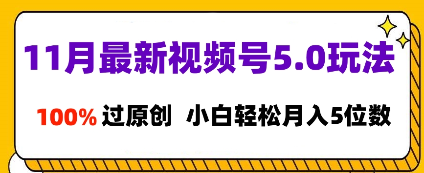 11月最新视频号5.0玩法，100%过原创，小白轻松月入5位数-伊恩资源网