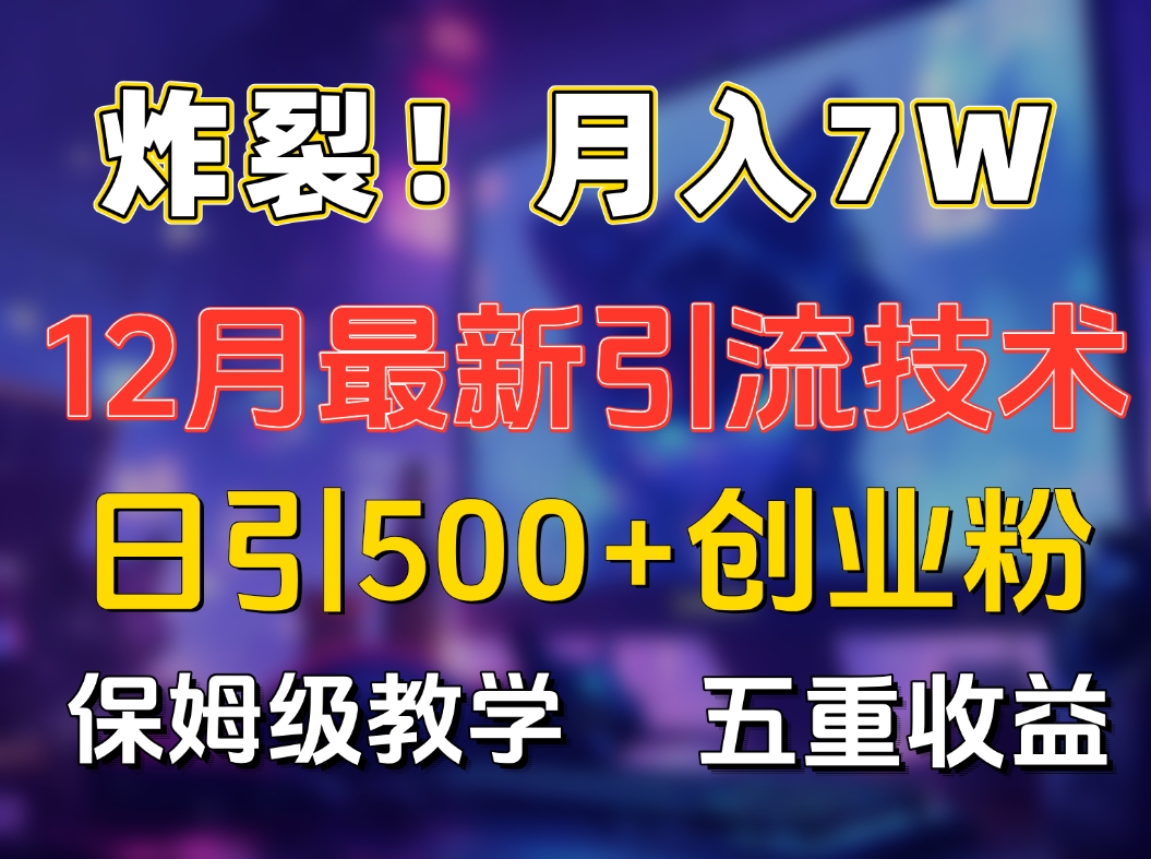 炸裂！月入7W+揭秘12月最新日引流500+精准创业粉，多重收益保姆级教学-伊恩资源网