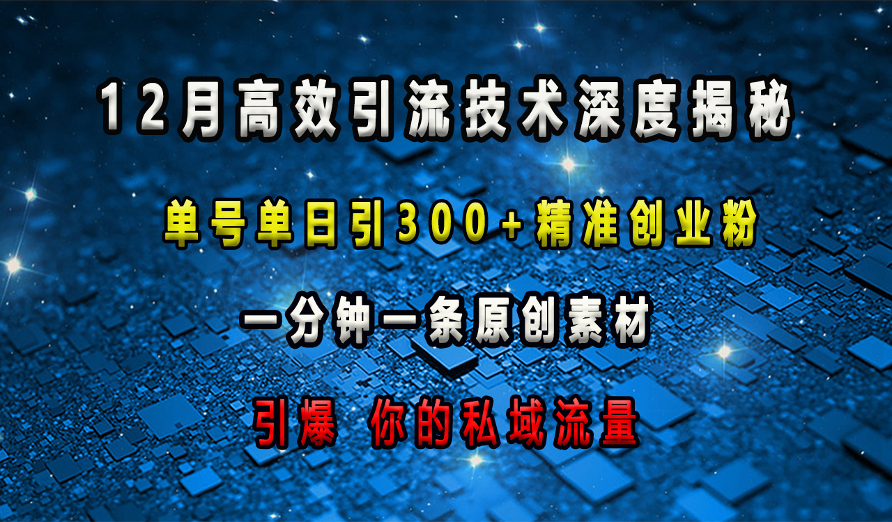 12月高效引流技术深度揭秘 ，单号单日引300+精准创业粉，一分钟一条原创素材，引爆你的私域流量-伊恩资源网