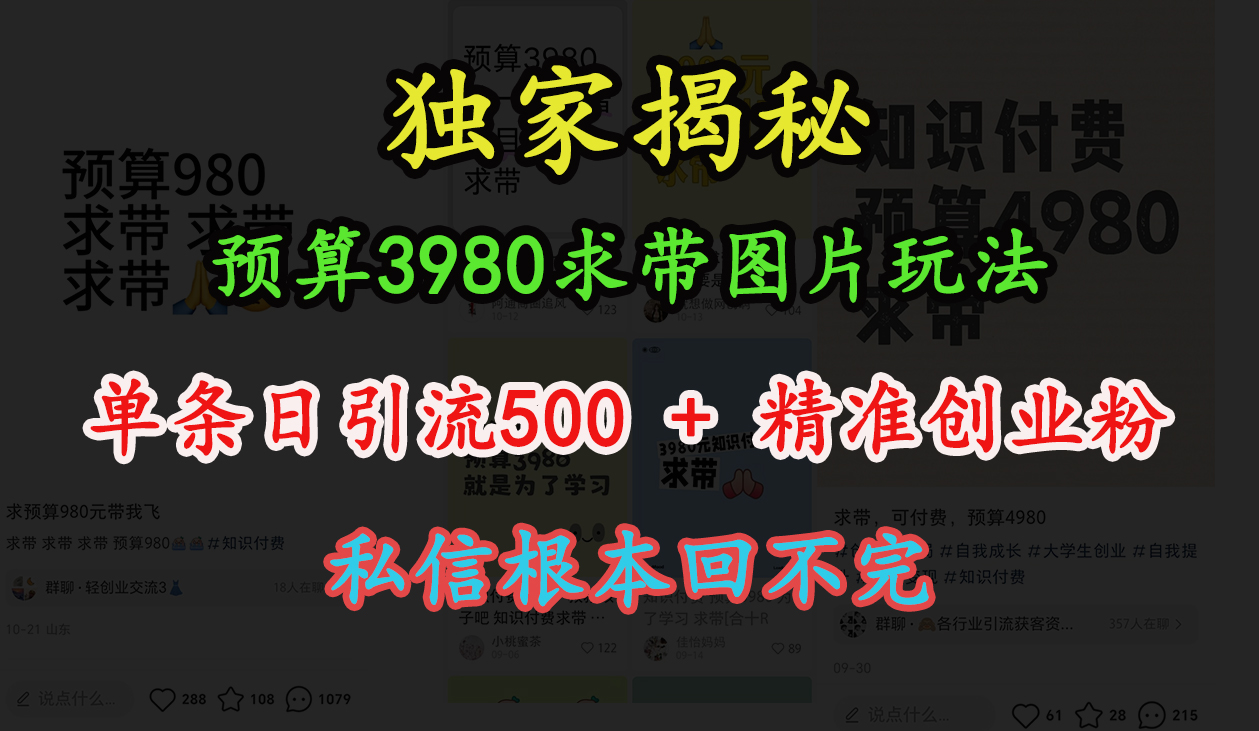 “小红书”预算3980求带 图片玩法，单条日引流500+精准创业粉，私信根本回不完-伊恩资源网