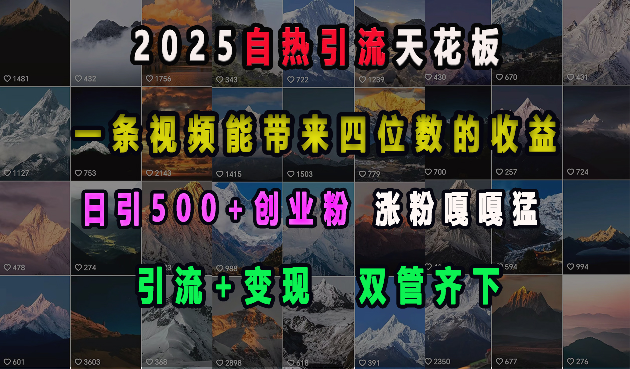 2025自热引流天花板，一条视频能带来四位数的收益，引流+变现双管齐下，日引500+创业粉，涨粉嘎嘎猛-伊恩资源网