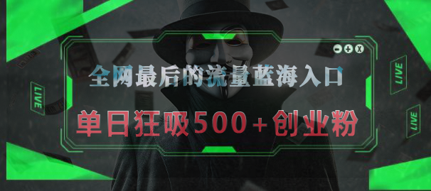 全网最后的流量蓝海入口，半小时引流50+创业粉，单日狂吸500+创业粉-伊恩资源网