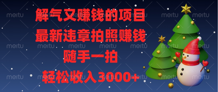 最新违章拍照赚钱，随手一拍，解气又赚钱的项目，轻松收入3000+-伊恩资源网