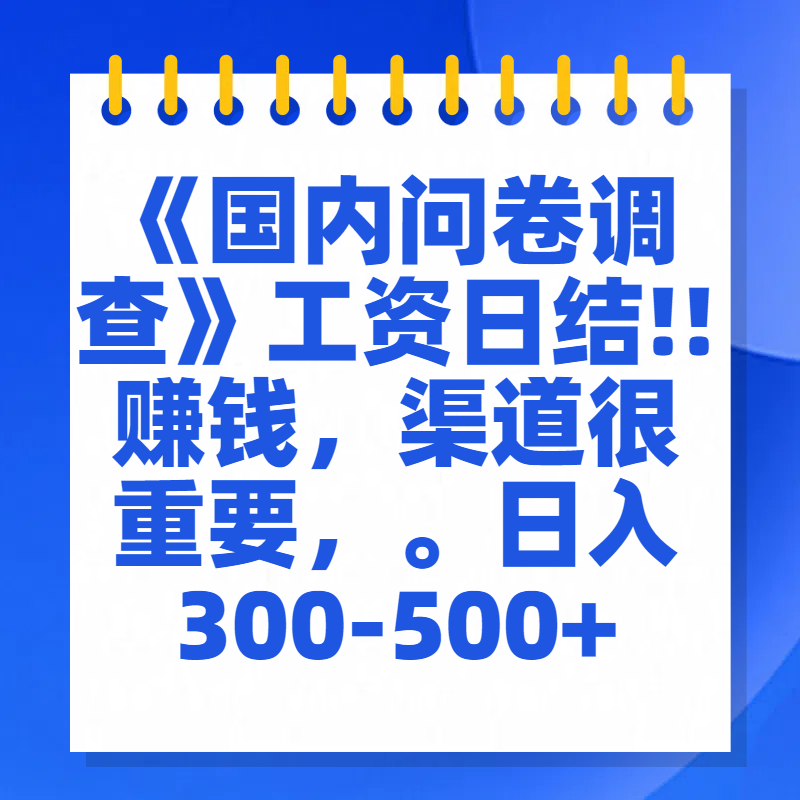 问卷调查答题，一个人在家也可以闷声发大财，小白一天2张，【揭秘】-伊恩资源网