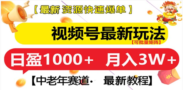 视频号独家玩法，老年养生赛道，无脑搬运爆款视频，日入1000+-伊恩资源网