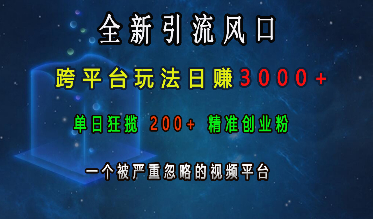 全新引流风口，跨平台玩法日赚3000+，单日狂揽200+精准创业粉，一个被严重忽略的视频平台-伊恩资源网