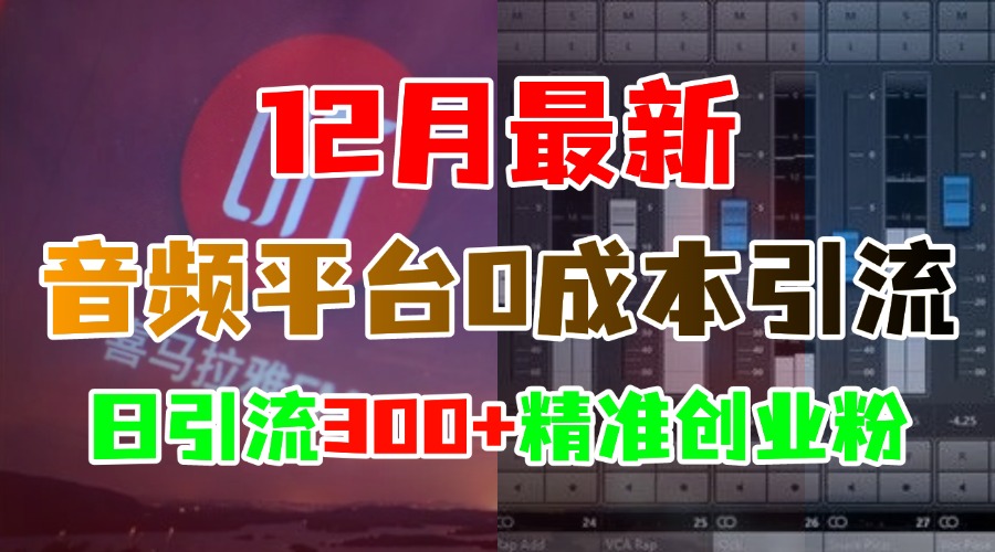 12月最新：音频平台0成本引流，日引300+精准创业粉-伊恩资源网