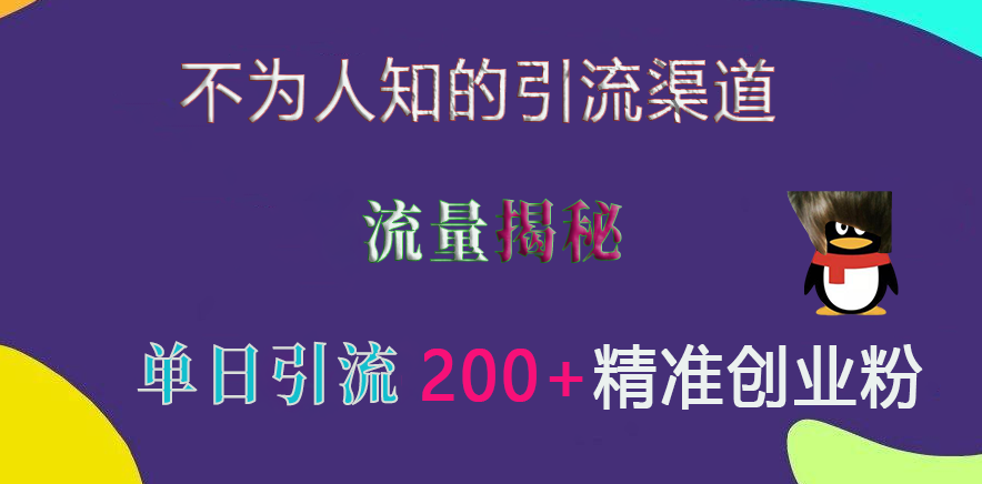 不为人知的引流渠道，流量揭秘，实测单日引流200+精准创业粉-伊恩资源网