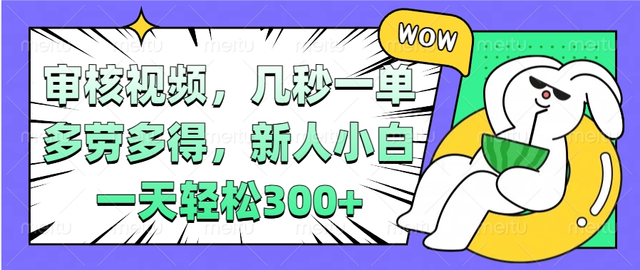 视频审核项目，几秒一单，多劳多得，新人小白一天轻松300+-伊恩资源网