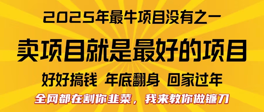 全网都在割你韭菜，我来教你做镰刀。卖项目就是最好的项目，2025年最牛互联网项目-伊恩资源网