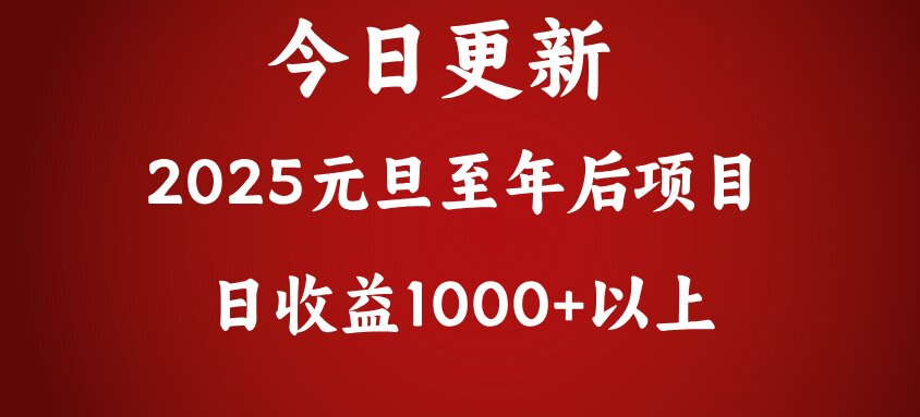 翻身项目，日收益1000+以上-伊恩资源网