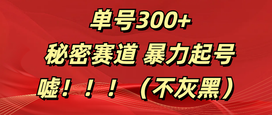 单号300+  秘密赛道 暴力起号  （不灰黑）-伊恩资源网