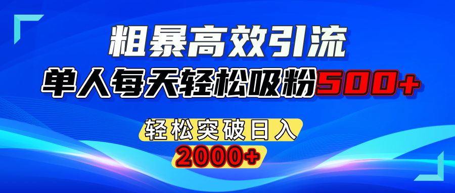 粗暴高效引流,单人每天轻松吸粉500+,轻松突破日入2000+-伊恩资源网